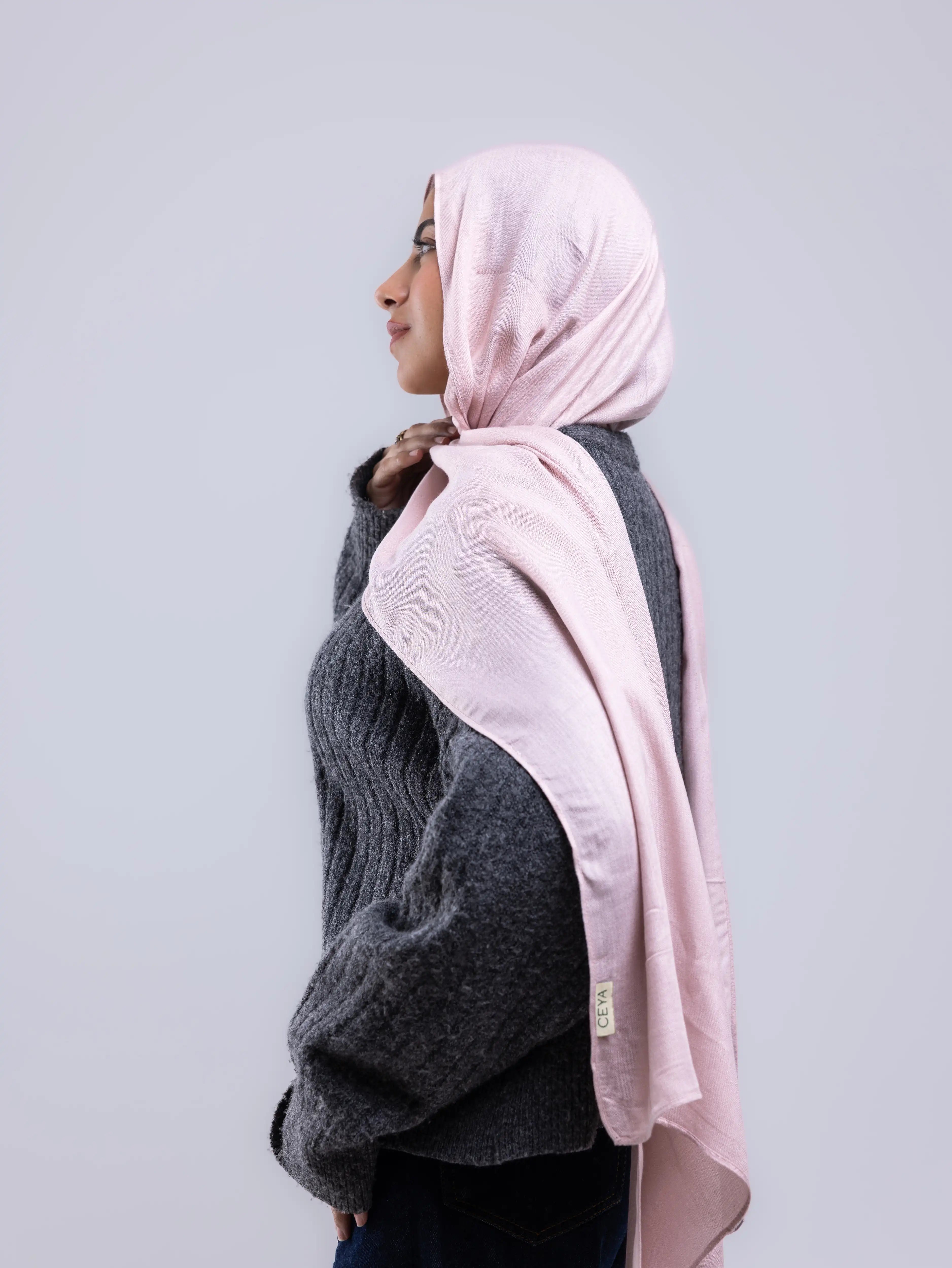 Premium Modal – Dusty Rose