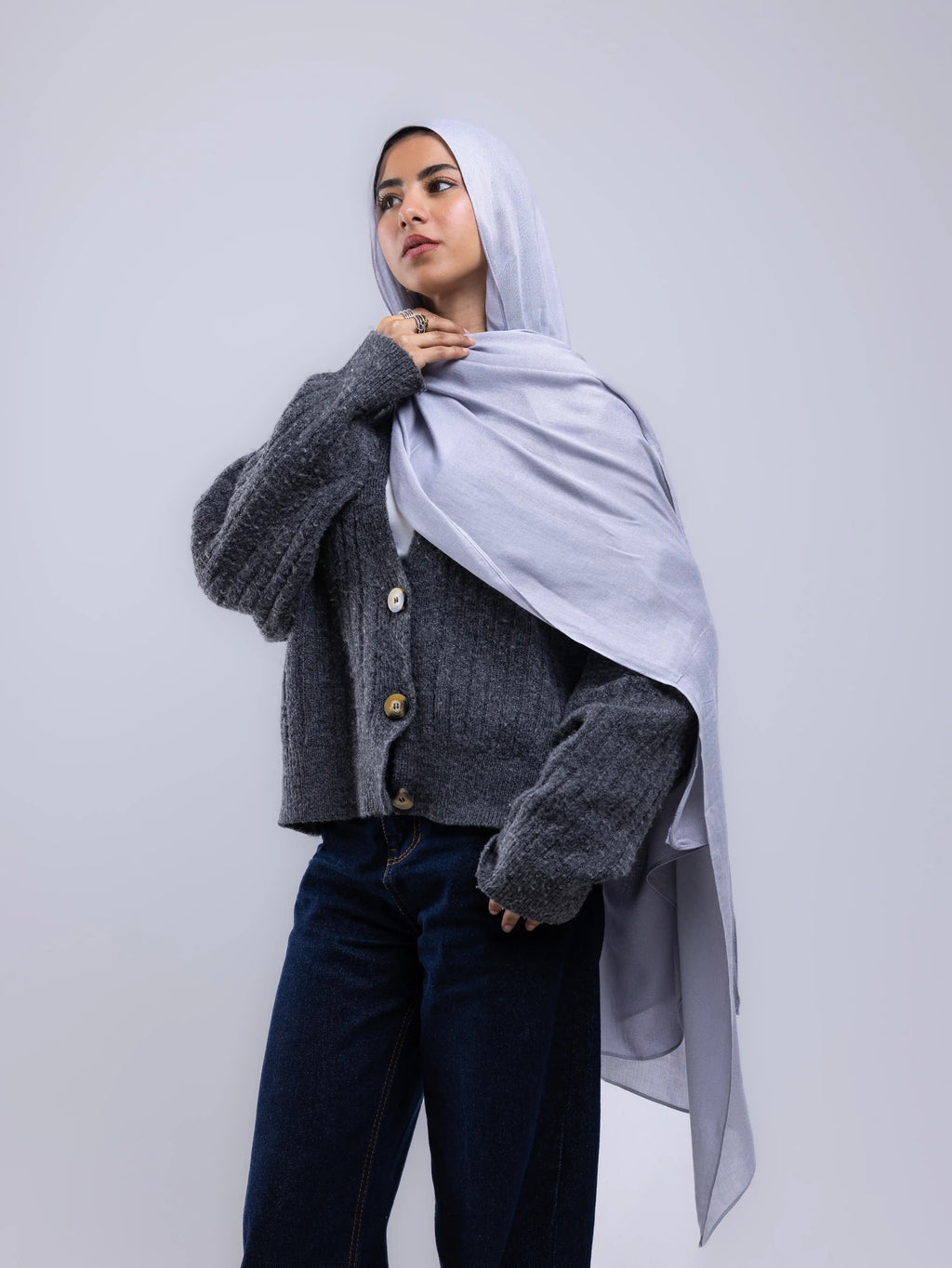 Mist Gray – Premium Modal