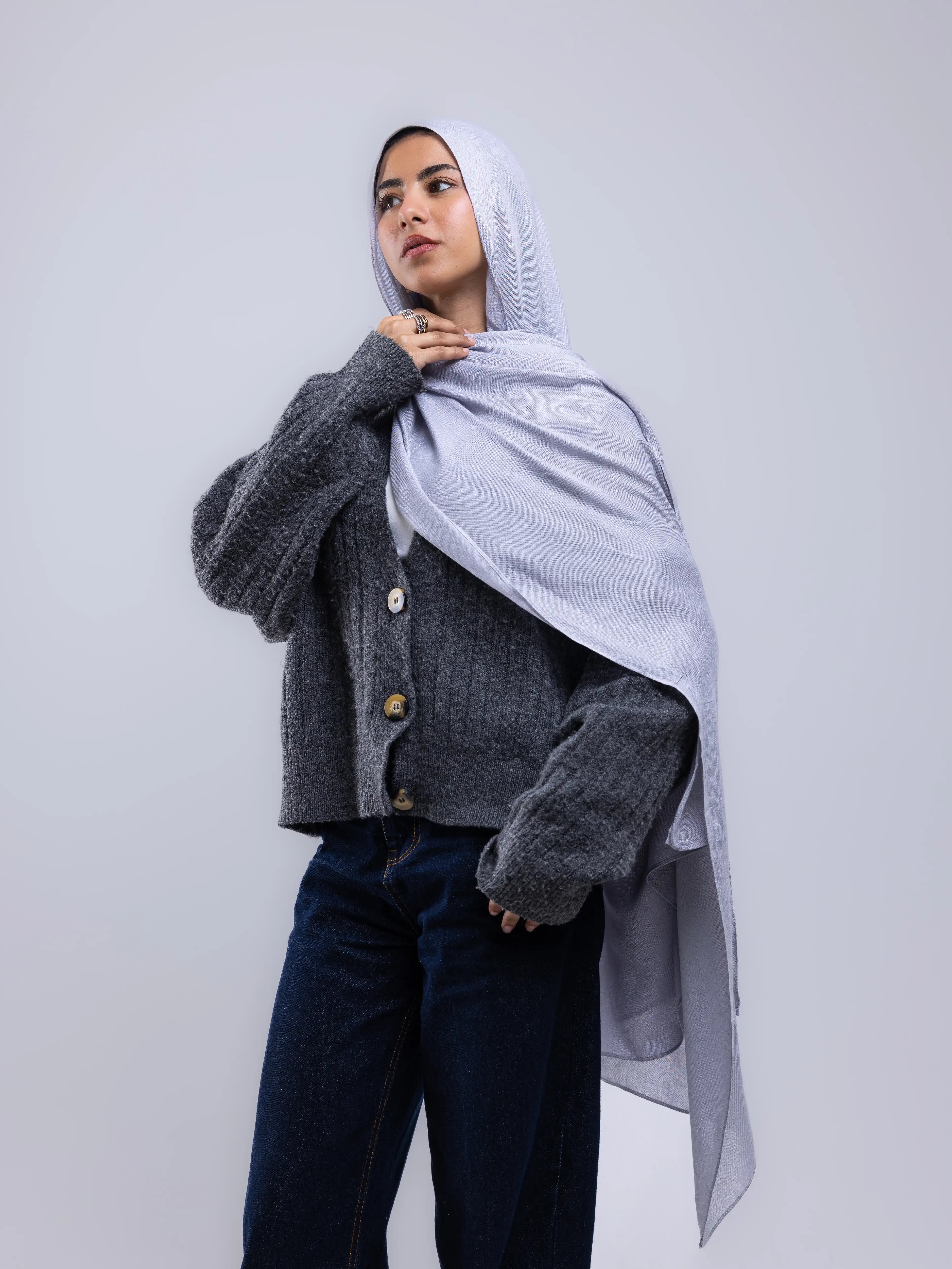 Premium Modal – Mist Gray