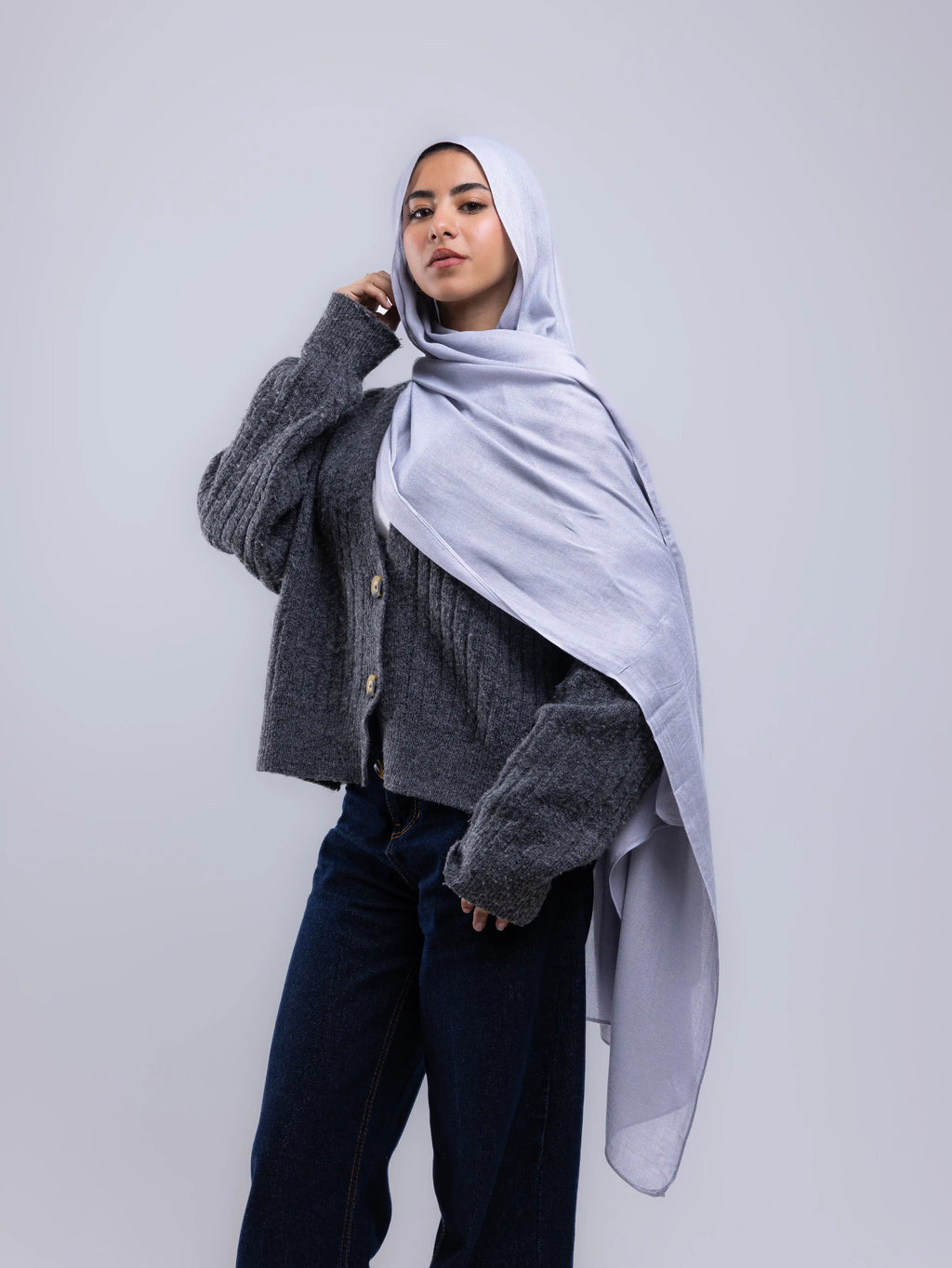 Mist Gray – Premium Modal