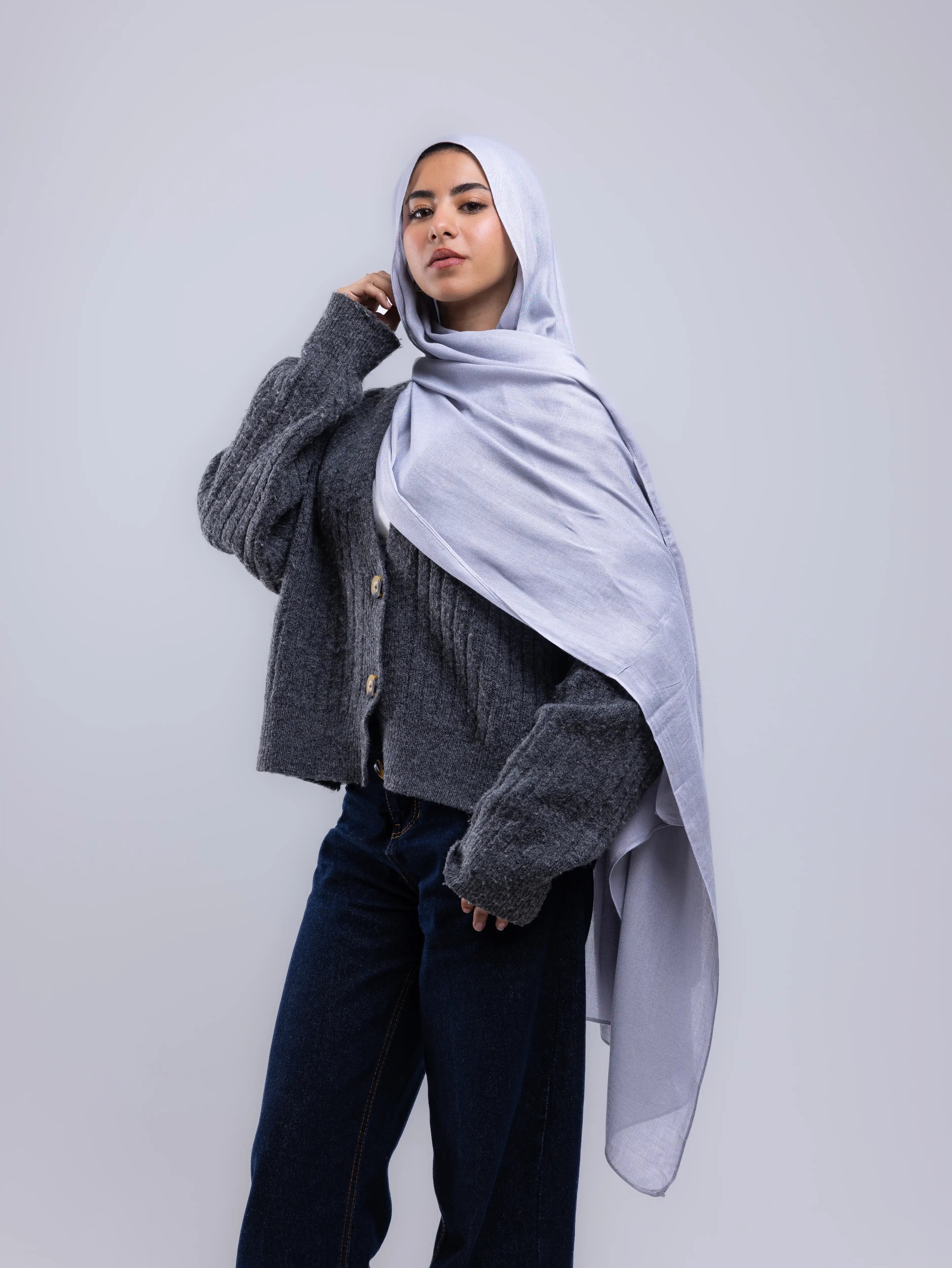 Mist Gray – Premium Modal