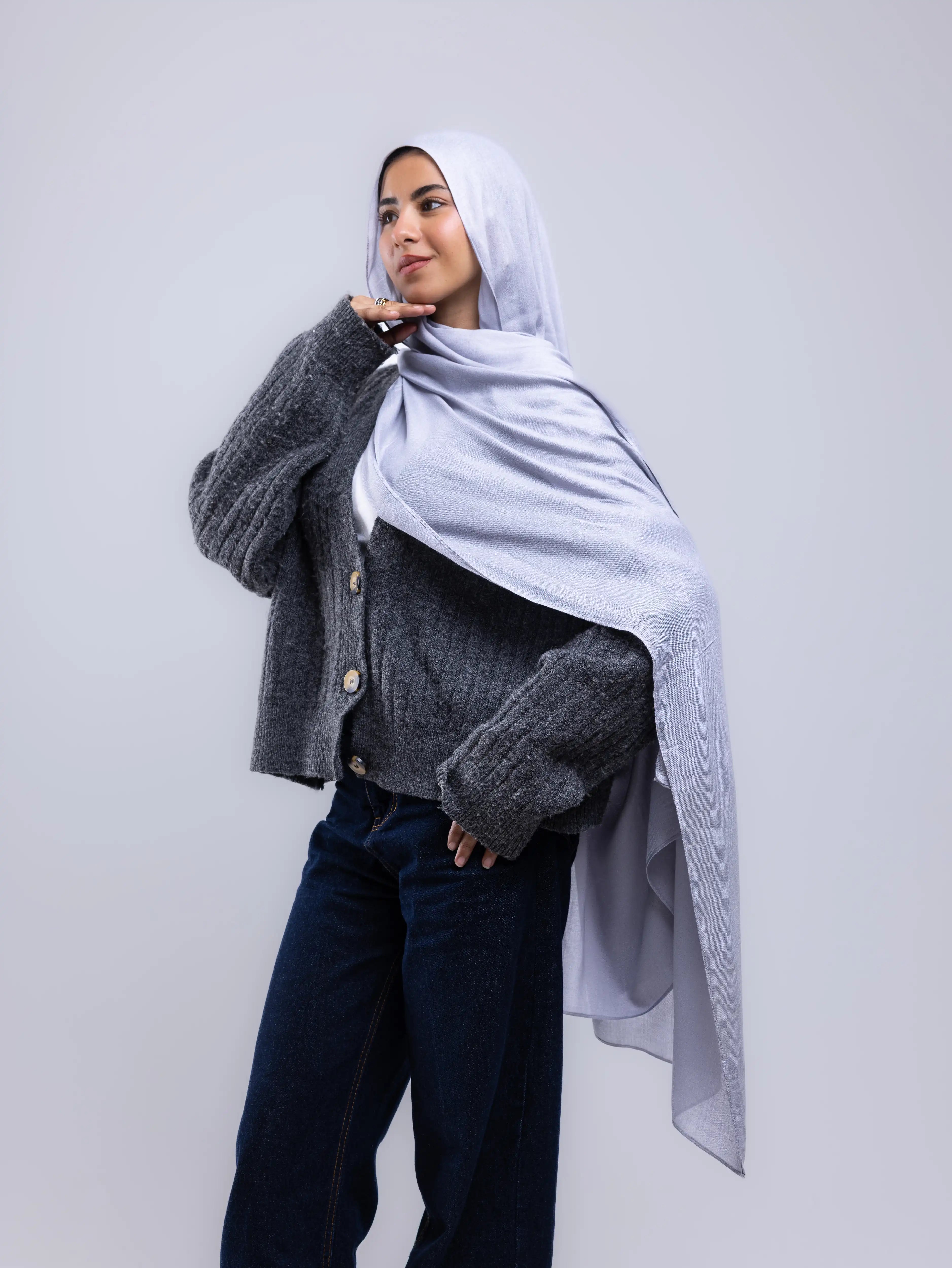 Mist Gray – Premium Modal