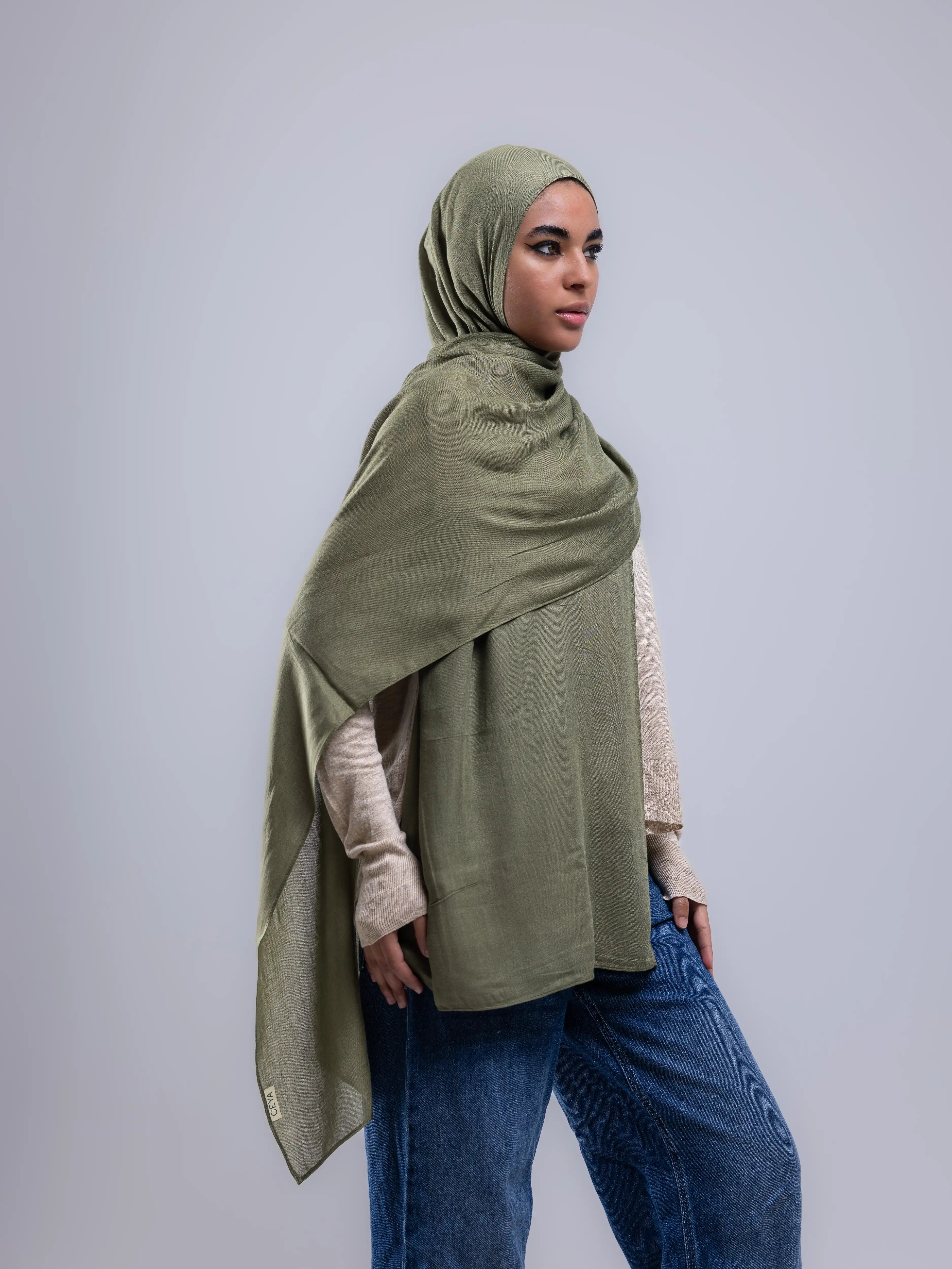 Olive – Premium Modal