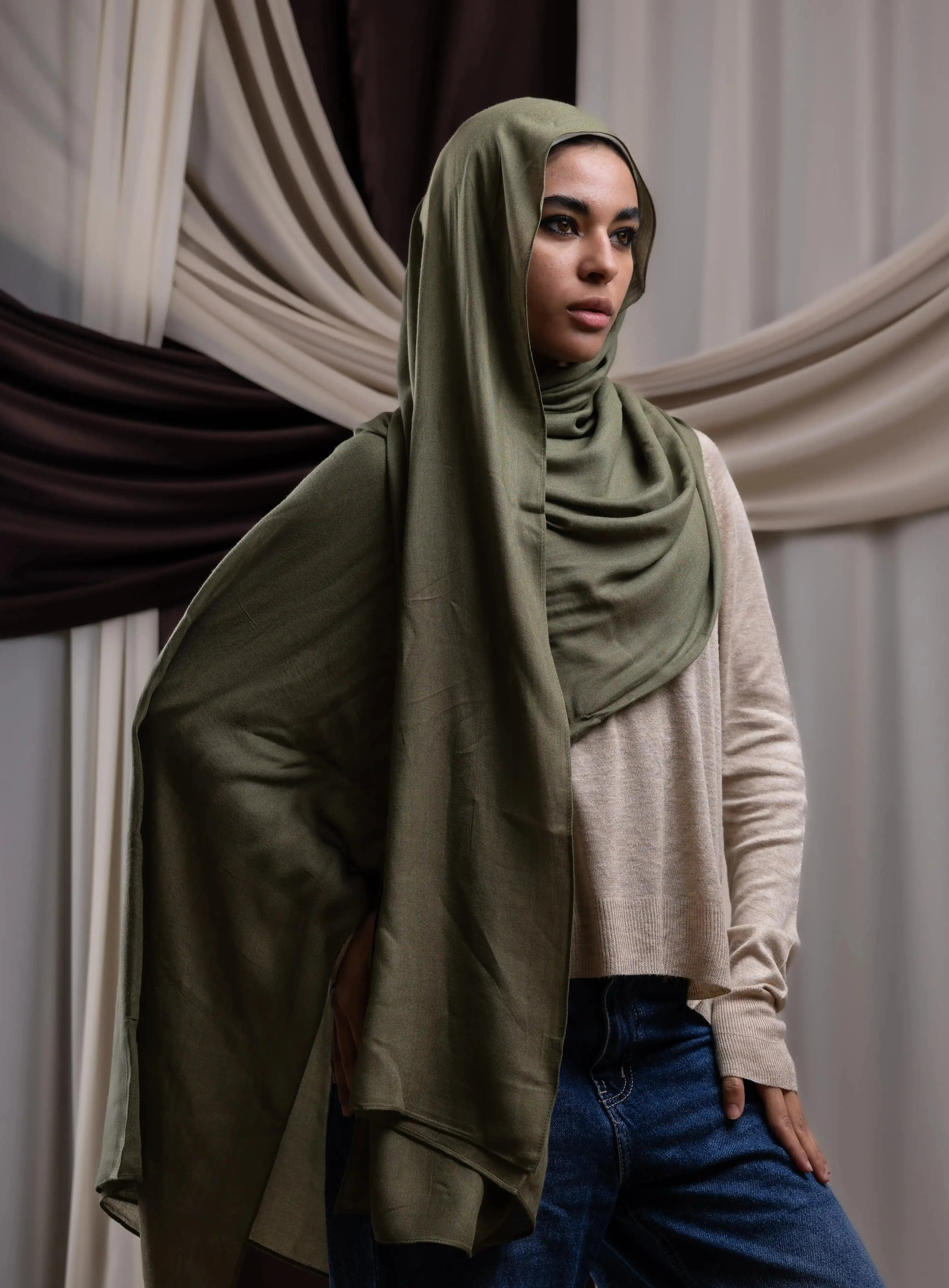 Premium Modal – Olive