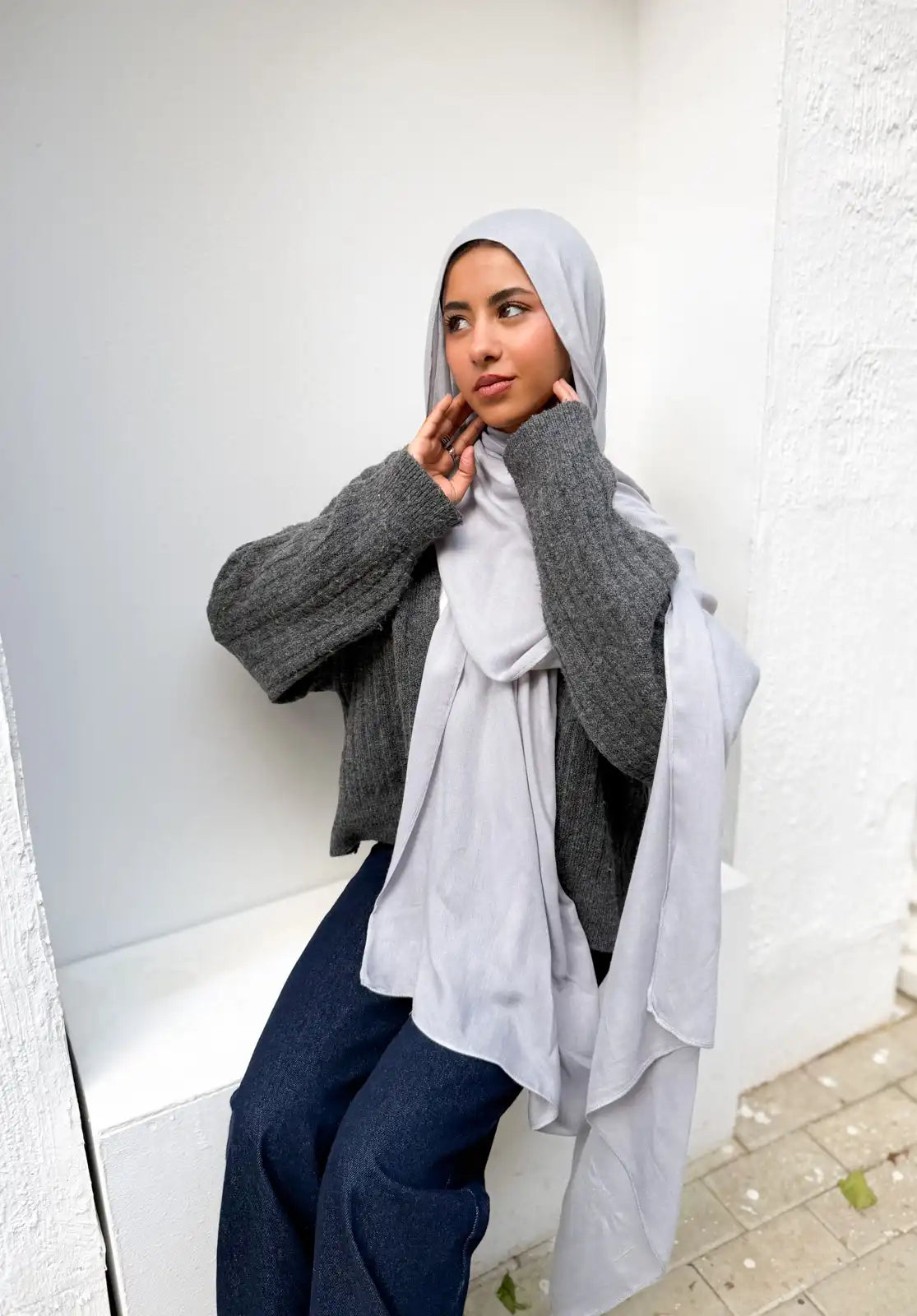 Mist Gray – Premium Modal