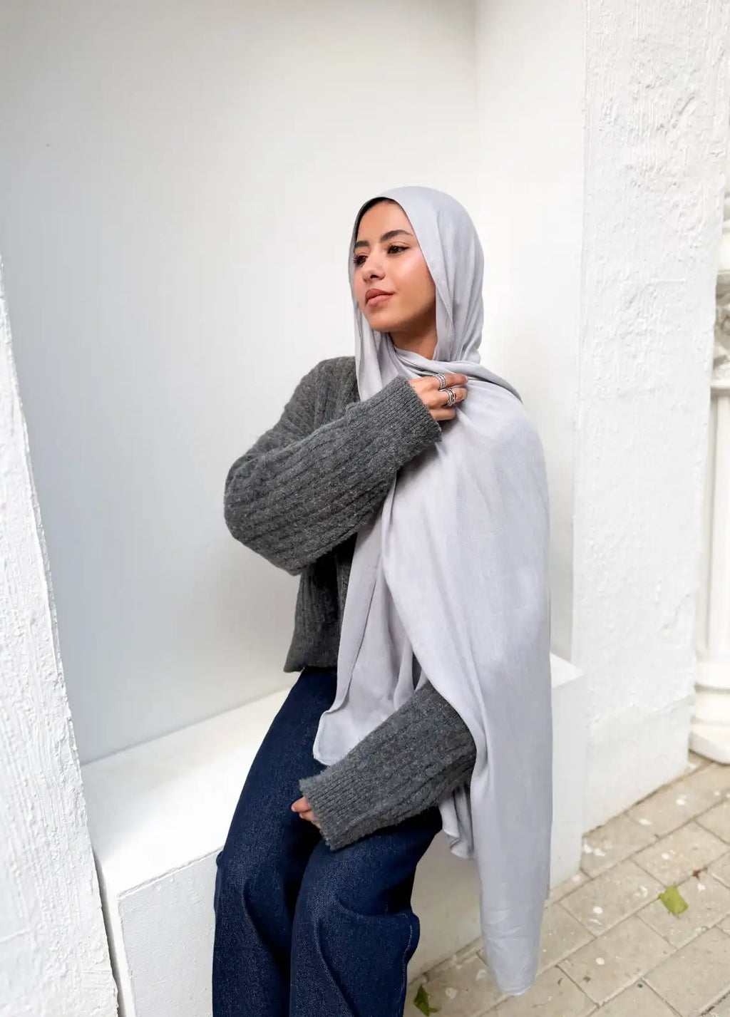 Mist Gray – Premium Modal