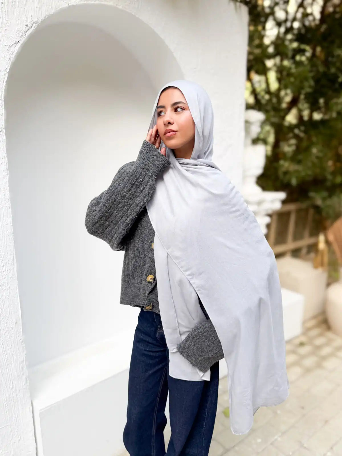 Premium Modal – Mist Gray